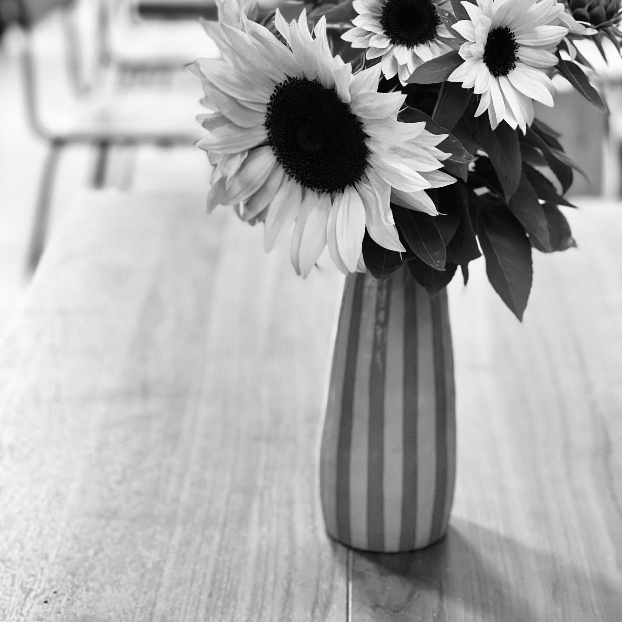Vase workshop with Bar Hietzing