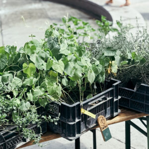 Carve & Stamp — Linocut Workshop (14+)